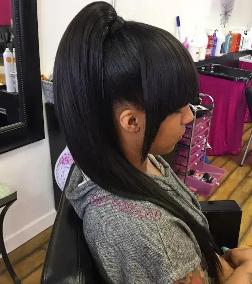 Smooth and Chic Double Ponytail